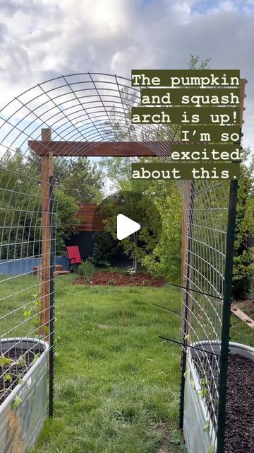 Patti Rother | Enchanted Gardens CO on Instagram: "First time trying a pumpkin arch.   We’ve had these tall stock tanks for years and decided we’d put them together to create an arch that leads into the children’s garden and play area.   We lined it up with this lovely wooden arch my wife built for the grapes to climb.   We planted a few seedlings and then tucked in some seeds as well!   Once everything starts popping up, we will fill it all in with flowers and herbs too.   I’m so excited!  #garden #gardening #suburbangarden #pumpkinarch #pumpkin" Pumpkin Arch Garden, Pumpkin Garden Ideas, Pumpkin Patch Garden, Pumpkin Arch, Pumpkin Trellis, Easy Backyard Diy, Enchanted Gardens, Pumpkin Planter, Pumpkin Garden