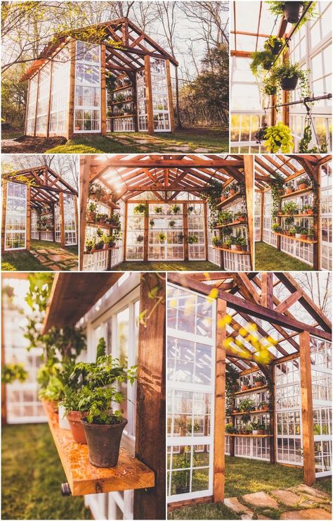 Greenhouse Shelving, Diy Small Greenhouse, Vaughan House, House Greenhouse, Diy Greenhouse Plans, Best Greenhouse, Greenhouse Shed, Build A Greenhouse, Home Greenhouse