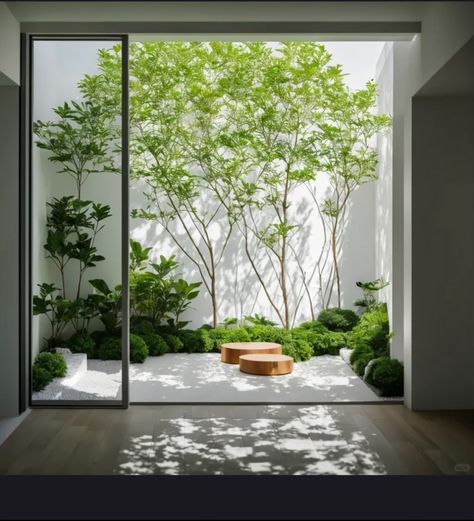 Japandi Courtyard, Indoor Garden Architecture, Japandi Garden, Interior Modern House, Internal Garden, Garden Atrium, Japanese Courtyard, Indoor Landscaping, Design Interior Modern