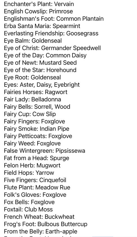 Folk Names For Herbs, Witch Ingredient List, Witch Names, Magickal Herbs, Witch Herbs, Folk Magic, Witch Spirituality, Grimoire Book, Writing Fantasy