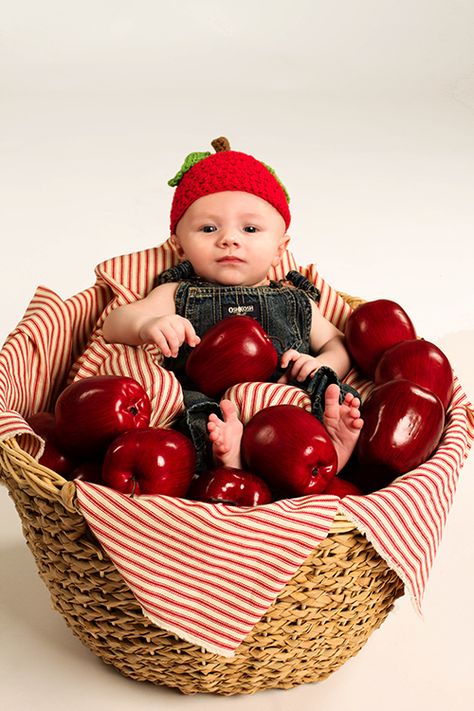 Apple Photoshoot Baby, Apple Baby Photoshoot, Baby Apple Photoshoot, Apple Orchard Baby Pictures, Apple Picking Photoshoot Baby, Newborn Apple Photoshoot, Apple Milk Bath Photos, Newborn Apple Orchard Pictures, Fruits Theme Baby Photoshoot