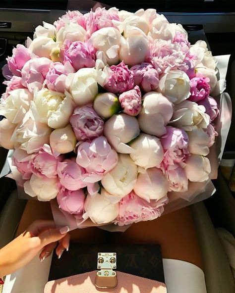 peonias Rosen Box, Boquette Flowers, Beautiful Flowers Wallpapers, Beautiful Flower Arrangements, Luxury Flowers, Flower Lover, Beautiful Blooms, Love Flowers, Flower Wallpaper