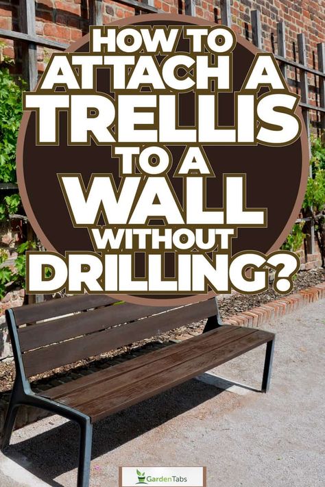 How To Attach A Trellis To A Wall Without Drilling? [Step By Step Guide] Diy Trellis On Brick Wall, Attaching Trellis To House, Garden Wall Trellis Ideas, Diy Wall Trellis Outdoor, Trellis Attached To House, Wall Mounted Trellis Outdoor, Trellis On House Wall, Trellis Against Brick Wall, Outdoor Wall Trellis Ideas