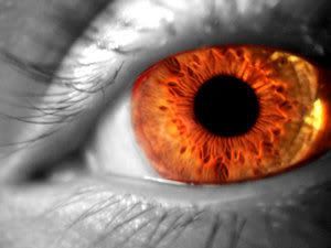 Orange Eyes | What's Your Hidden Eye Color? - Quiz | Quotev Orange You Glad, Orange Aesthetic, Aesthetic Eyes, Orange Crush, Colored Contacts, Eye Art, Happy Colors, Shades Of Orange, Beautiful Eyes