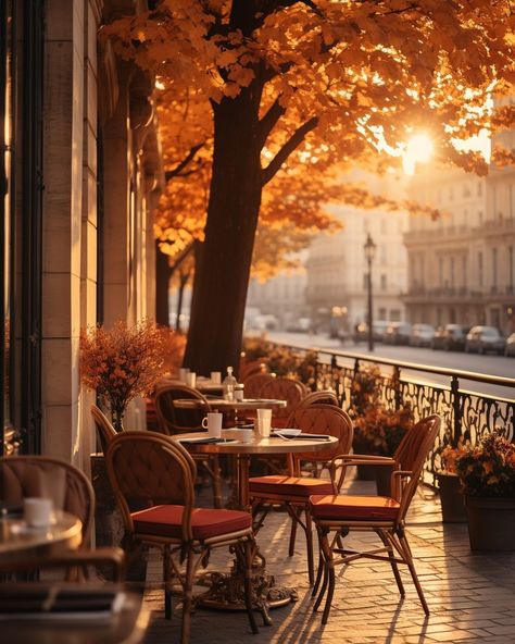 What if... on autumn Sundays, golden hour brought a special calm to Parisian cafés? ☕️ 🍂 by @whatifparis.ai | Instagram Paris Autumn, Paris In Autumn, Calming Pictures, Autumn Instagram, Elegant Wall Art, Autumn Magic, Paris Aesthetic, Paris Cafe, Autumn Scenes