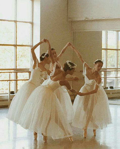 Ballerinas Dancing, Svetlana Zakharova, New York City Ballet, Anna Pavlova, Adult Ballet, Ballet Beauty, Alvin Ailey, Ballet Inspiration, Ballet Art