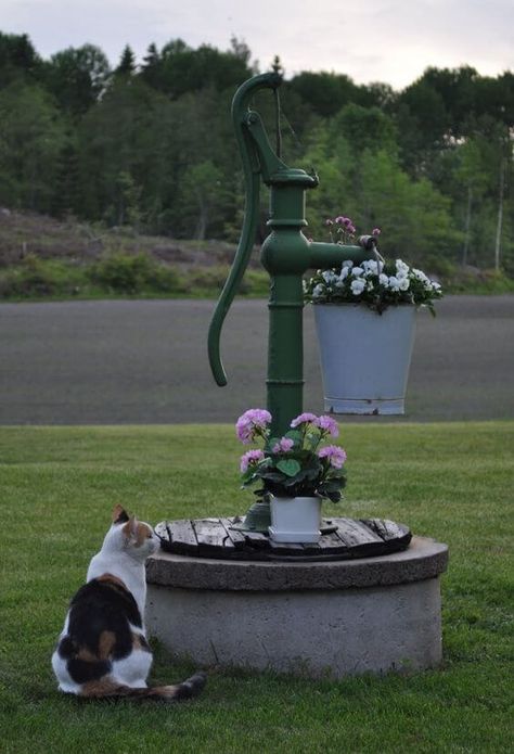 Make A Vintage Pump Well Pump Cover, Septic Tank Covers, Hand Pump Well, Garden Water Pump, Old Water Pumps, Hand Water Pump, Backyard Garden Diy, Rustic Planters, Lawn Art