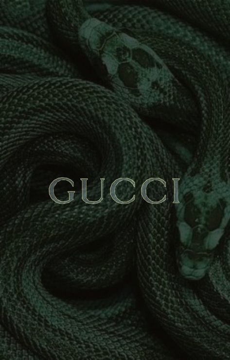 Gucci Green Wallpaper, Green Gucci Aesthetic, Aesthetic Wallpaper Green Dark, Gucci Snake Wallpaper, Gucci Aesthetic Wallpaper, Christian Dior Wallpaper, Gucci Green Bag, Gucci Aesthetic, Gucci Wallpaper Iphone