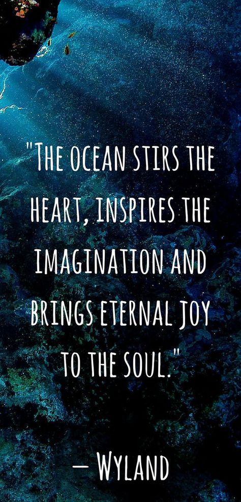 Where allure & distinction meet. Classy & private matching. Exceptional ladies & gents worldwide. http://ift.tt/1O8Pxe2 BBM pin:7F7175A5 W/APP 447789998796 : The ocean makes me happy! This is a perfect quote #Joy #WorldOceansDay @CelebrateOceans https://t.co/lmRIuboNdJ Scuba Diving Quotes, Diving Quotes, Ocean Quotes, Beach Quotes, Visual Statements, Ocean Inspiration, Ocean Life, Scuba Diving, Travel Quotes