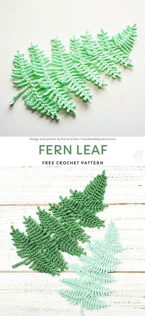 Gorgeous Crochet Appliques. I love collecting beautiful leaves and hanging them in a stunning frame on my wall. Unfortunately, not all of them last for very long - unlike this amazing leaf! It's so beautiful and looks so real, it's just amazing! You can decorate many projects with it.  #freecrochetpattern #applique #decor Free Form Crochet, Rose Embroidery Designs, Crochet Whale, Crochet Appliques, Gorgeous Crochet, Crochet Leaf Patterns, Fern Leaf, Crochet Plant, Crochet Leaves