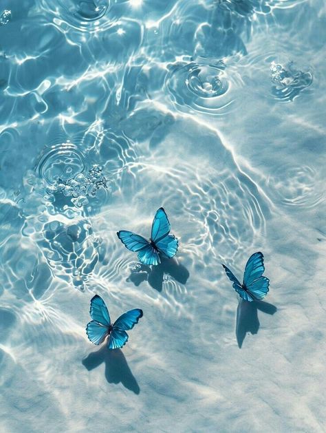 Blue Esthetics Aesthetics, Soft Colour Aesthetic, Ocean Asthetic Picture, Sapphire Core Aesthetic, Blue Hues Aesthetic, Yinmn Blue Aesthetic, Cute Blue Photos, Blue Butterfly Aesthetic Wallpaper Iphone, Blue Whimsical Aesthetic