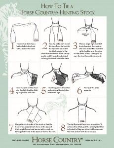 How to tie a stock tie for foxhunting or dressage | EquestrianHow2 Equestrian Diy, Dressage Clothes, Dressage Stock Tie, Horseshoe Crafts Projects, Tulip Tree, Club Attire, Horse Knowledge, Stock Tie, Riding Clothes