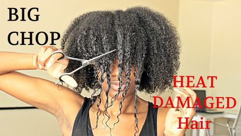 BIG CHOP 2016 On My HEAT DAMAGED HAIR [Video] - https://blackhairinformation.com/video-gallery/big-chop-2016-heat-damaged-hair-video/ Damaged Black Hair, Heat Damaged Natural Hair, Natural Hair Updo Wedding, Big Chop Natural Hair, Titanium Hair, Vinegar For Hair, Apple Cider Vinegar For Hair, Heat Damaged Hair, Natural Hair Accessories