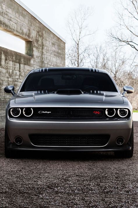 fullthrottleauto: “Dodge Challenger (by daveleck) (#FTA) ” Mini Cooper Cabriolet, Aventador Lamborghini, Challenger Rt, Bmw Concept, Dodge Rams, Sweet Cars, Dodge Dakota, Limousin