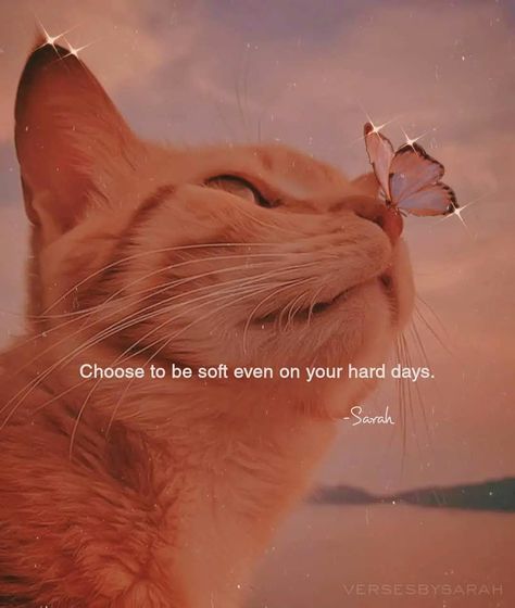 Tiny Quotes, Masha Allah, Poetry Photos, Religion Quotes, Cat Background, Best Quotes From Books, Self Inspirational Quotes, Best Friend Poses, Cute Inspirational Quotes