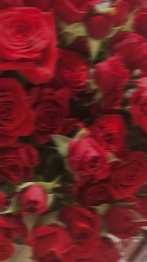 Red Flower Wallpaper, Red Roses Wallpaper, Piece Of Advice, Flowers Photography Wallpaper, Rosé Aesthetic, Simple Phone Wallpapers, Simple Iphone Wallpaper, Romantic Mood, Nothing But Flowers