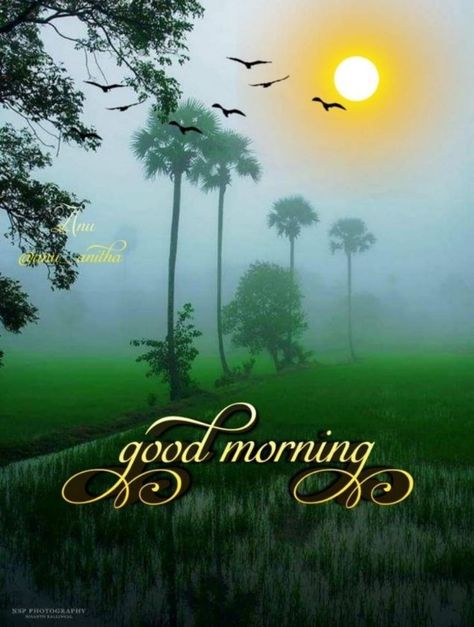 Beautiful Good Morning Wishes Nature, Good Morning Wishes Nature, Sweet Good Morning Images, Good Morning Nature Images, Beautiful Good Morning Wishes, Free Good Morning Images, Love Good Morning Quotes, Good Morning Flowers Rose, Beautiful Good Morning