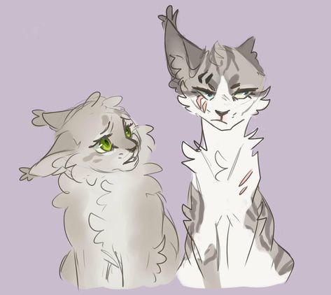 Warrior Cats Series, Warrior Cats Books, Warrior Cats Fan Art, Warrior Cat Drawings, Cat Oc, Cat Reference, Warrior Cats Art, Cats Artists, Cat Character