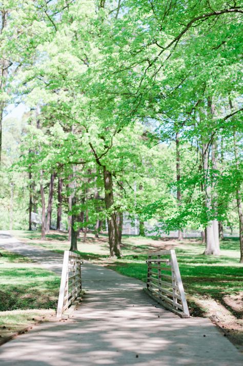 High Point Nc, Take A Hike, Get Outdoors, Pine Forest, Natural Environment, Spring Day, Scenic Views, High Point, Public Art