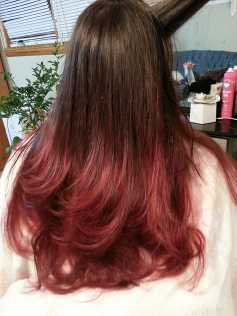 Brown to red ombre Light Brown Hair Dyed Red, Red Tips On Light Brown Hair, Red Hair Bottom Layer, Brunette To Red Hair Ombre, Red Dye On Light Brown Hair, Dark Red Ends On Brown Hair, Red Gradient Hair, Brown Hair Faded Into Red, Red Tip Hair Brown