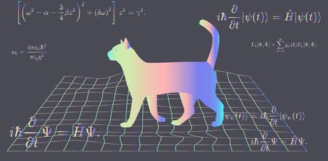 Could Schrödinger's cat exist in real life? Our research may soon provide the answer Quantum Mechanics Art, Schrodinger's Cat, Wave Function, Quantum World, Schrödinger's Cat, Quantum Entanglement, General Relativity, Thought Experiment, Quantum Computer