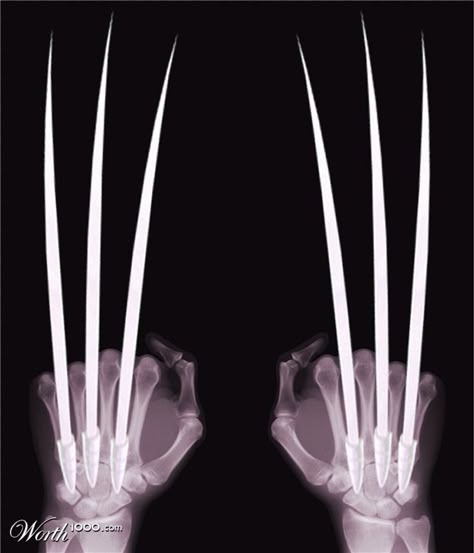 Wolverine Claws Art, Wolverine Aesthetic, Rusty Cage, X Men Aesthetic, Healing Factor, Wolverine Claws, Wolverine Xmen, Hugh Jackman Wolverine, Wolverine Comic