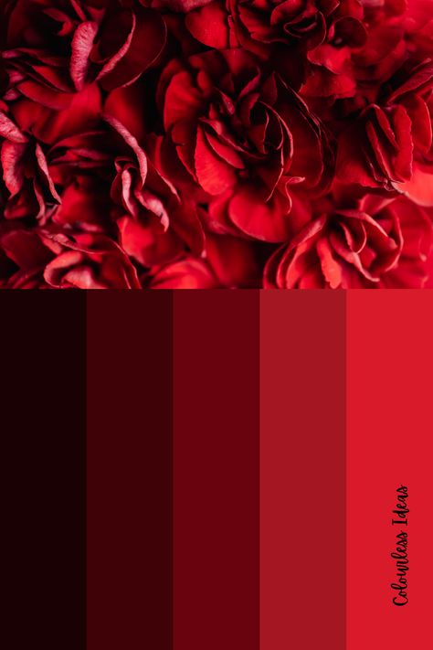 Red Fox Color Palette, Red Velvet Colour Palette, Ruby Color Palette, Dark Red Color Palette, Color Inspiration Boards, Feminine Color Palette, Bff Quotes Funny, Red Colour Palette, Bff Quotes