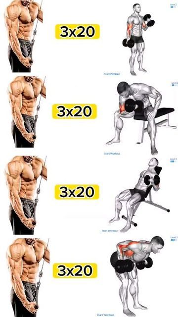 Exercise For Triceps, Biceps Workout Gym, Biceps Triceps Workout, Biceps Workout At Home, Arm Workout Gym, Big Biceps Workout, Workout Arms, Tricep Workout, Gym Workout Guide