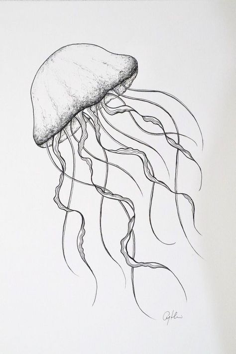 Drawing Ocean, Seashell Drawing, Acid Paper, Handmade Drawings, Jellyfish Illustration, Space Drawing, Beach Style Decorating, Ocean Illustration, Jellyfish Painting