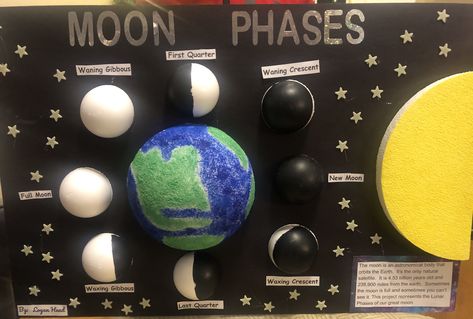 Moon Phases School Project Moon Phases Project For Kids, Moon Phases Project Ideas, Moon Phases Model Project, Moon Phases Science Fair Project, Moon School Project, Lunar Cycle Project, Moon Phases Science Project, Moon Phase Project Ideas, Phases Of The Moon Science Project