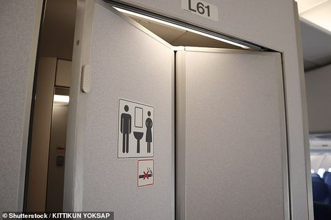 Airplane Toilet, Airplane Bathroom, In Plane, Love For Her, Wear A Mask, On The Plane, Bathroom Door, Bathroom Doors, Flight Attendant