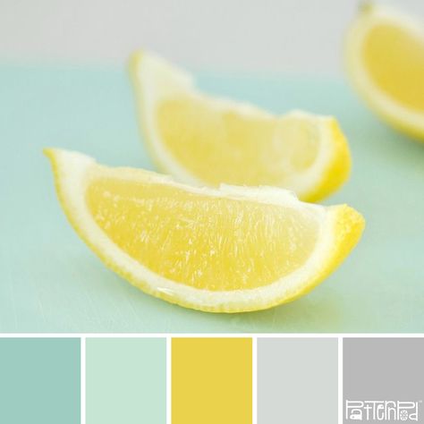 Lemon Mint  #patternpod #patternpodcolor #color #colorpalettes Mint Color Palette, Mint Color Palettes, Lemon Mint, Design Seeds, Kitchen Color, Colour Board, Mint Color, Kitchen Colors, Colour Schemes