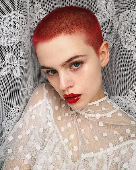 Buzzed Hair Women, Wild Hair Color, Buzzed Hair, Bald Girl, Cool Short Hairstyles, Bald Hair, Super Short Hair, Hair Color For Women, Shaved Head