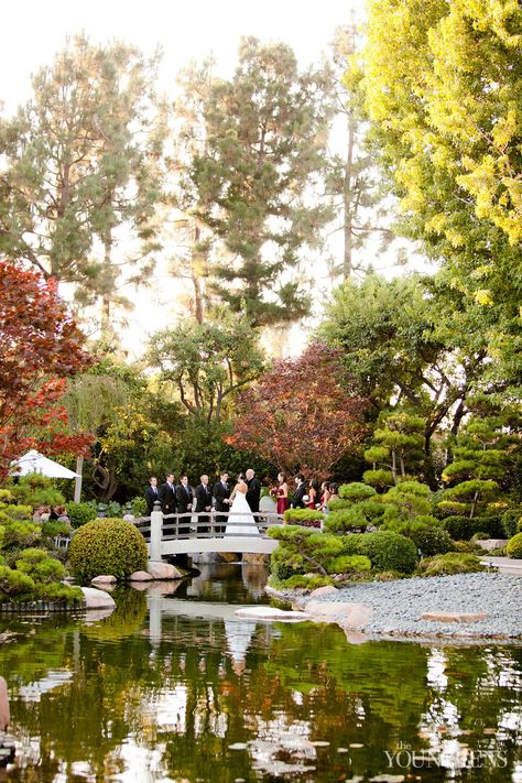 Wedding Venues Japan, Japanese Wedding Venue, Asian Garden Wedding, Chinese Garden Wedding, Japanese Wedding Aesthetic, Wedding In Japan, Zen Garden Wedding, Japanese Wedding Ceremony, Japanese Traditional Wedding