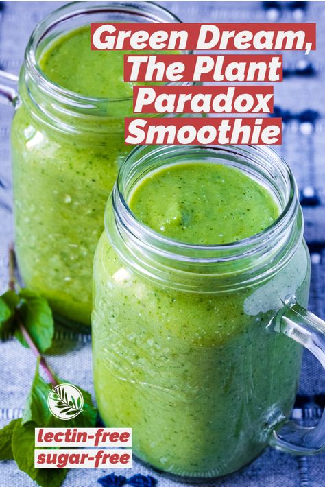 Start your plant paradox journey with this healthy and nutritious green smoothie. Lectine Free Recipes, Dr Gundry Yes And No List, Lectin Free Smoothie Recipes, Plant Paradox Phase 1, Plant Paradox Meal Plan, Plant Paradox Breakfast Recipes, Plant Paradox Breakfast, The Plant Paradox Recipes, The Plant Paradox Food List