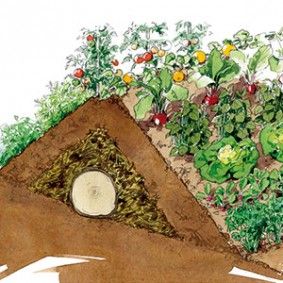 Un pas à pas en images pour réussir la culture d'un potager sur butte. Organic Pesticide, Potager Garden, Fall Garden Vegetables, Permaculture Gardening, Permaculture Design, Organic Vegetable Garden, Aquaponics System, Organic Vegetables, Autumn Garden