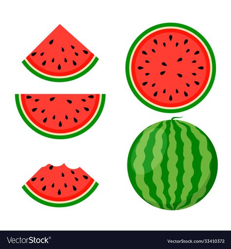 Watermelon Drawing, Watermelon Background, Watermelon Vector, Watermelon Benefits, Watermelon Art, Show Da Luna, Vector Food, Watermelon Slices, Tshirt Bag