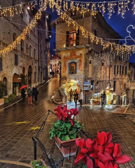 Assisi Italy, Christmas In Italy, Christmas In Europe, Christmas Travel, European Art, Umbria, 14th Century, Greece Travel, Art Festival