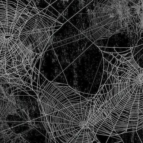 Blackbird Aesthetic, Spider Web Aesthetic, Spiderweb Aesthetic, Goth Moodboard, Spiderweb Background, Rowan Kane, Web Aesthetic, Backgrounds Instagram, Crochet Filet