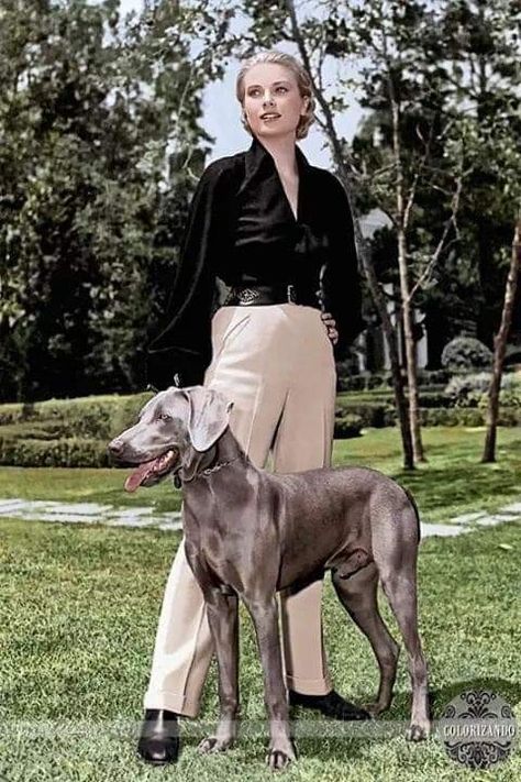 Grace Kelly with her Weimaraner in 1956. Oud Hollywood, Grace Kelly Style, Princess Grace Kelly, Princess Grace, Soft Classic, Weimaraner, Grace Kelly, Mode Vintage, Mode Inspiration