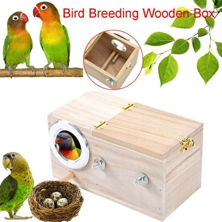 Parakeet Nesting Box, Bird Nest Breeding Box Cage Wood House for Finch Lovebirds Cockatiel Budgie Conure Parrot Specification: Brand new Material: wood Color: Wood color Size: approx 12*12*19.5cm Random opening direction Durable Parakeet Nesting Box Made Out of All Natural Wood,strong and no toxic Side opening for easy cleaning and removal of bedding Practical design: Hinged lid for easy cleaning. Designed for budgie,parakeet,lovebirds, parrotlets etc... Encourages natural breeding and nesting b Cockatiel Cage, Bird Cages For Sale, Bird Breeds, Conure Parrots, Budgie Parakeet, Nest Box, House Wood, Nesting Box, Wood Bird