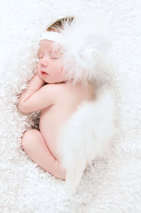 30 Сheap Photography Props – Creative but Cheap Photo Props Under $100 6 Month Baby Picture Ideas, Baby Boy Newborn Photography, Newborn Photography Boy, Baby Pictures Newborn, Newborn Baby Photoshoot, Rose Headband, Newborn Baby Photos, Headband Set, White Angel