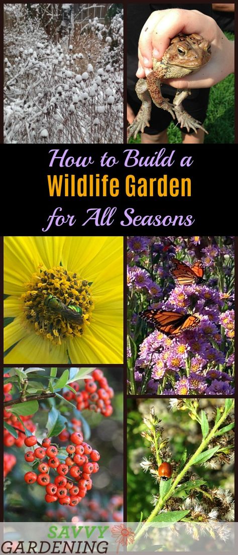 A wildlife garden project for all seasons: The best plants for success Slugs In Garden, Habitat Garden, Wildlife Garden, Garden Insects, Garden Pest Control, Organic Vegetable Garden, Garden Animals, Wildlife Gardening, Pollinator Garden