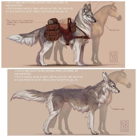 Fantasy Dog Creature, Riding Dog Fantasy Art, Wolf Human Hybrid Male, Wolf Oc Character Design, Dnd Dog, Horse Hybrid, Wolf Mount, Fantasy Dog, Dog Oc