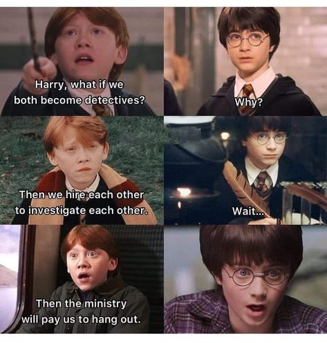 Funny Harry Potter, Funny Harry Potter Jokes, Harry Potter Memes Hilarious, Harry Potter Feels, Harry Potter Puns, Jokes Hilarious, Harry Potter Pin, Harry Potter Scene, Slytherin Harry Potter