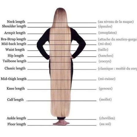 The Fullest Hair Length Chart That Describes ALL Hair Lengths - Hadviser Hair Lengths Straight, Cap And Gown Hair, Now Hairstyles, Hair Type Chart, Graduation Hairstyles With Cap, Hair Chart, Creative Haircuts, Virtual Hairstyles, Hair Length Chart