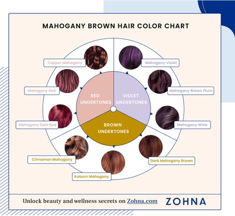 Brown Hair Colour Chart, Dark Mahogany Hair, Hair Colour Chart, Mahogany Red Hair, Raspberry Hair Color, Mahogany Brown Hair Color, Mahogany Hair Color, Brown Hair Colour, Mahogany Brown Hair