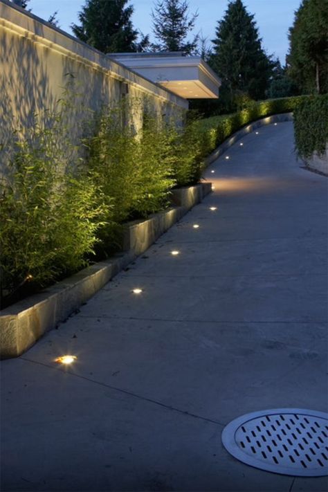 Solar Studs Backyard Lighting Ideas, Outdoor Tree Lighting, Support Logo, Driveway Lighting, Landscape Lighting Design, Driveway Design, Driveway Landscaping, Facade Lighting, Lighting Plan