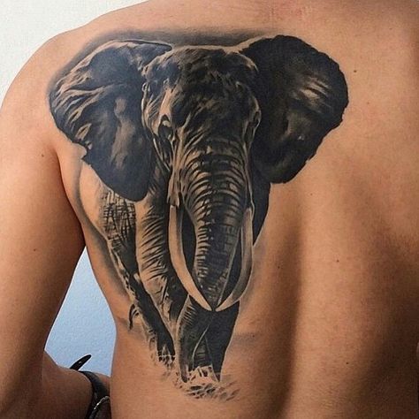 Realistic Elephant Tattoo, Mandala Elephant Tattoo, Tattoo Elephant, Henna Inspired Tattoos, Elephant Tattoo Design, Tattoo Henna, Trendy Tattoo, Elephant Tattoo, Elephant Tattoos