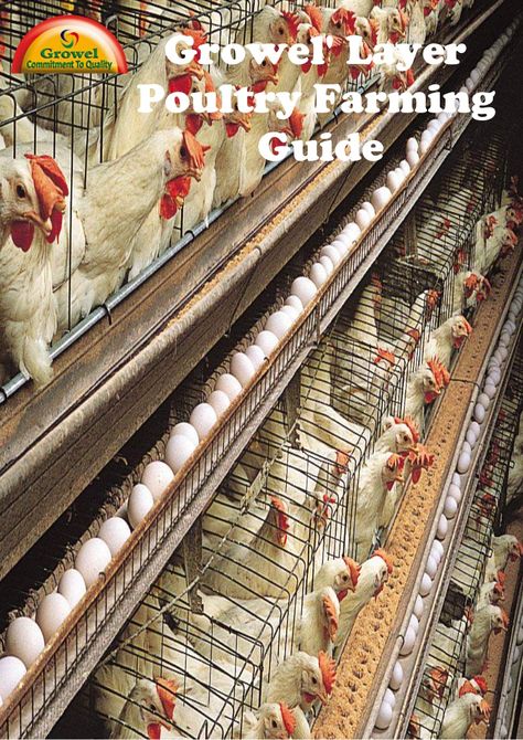 Vitamin B12 Foods, Farming Guide, Poultry Farming, Jonathan Safran Foer, Healthy Holistic Living, Poultry Cage, Chicken Farming, Farming Business, Organic Diet